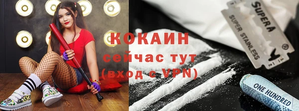 соль ск Алексин