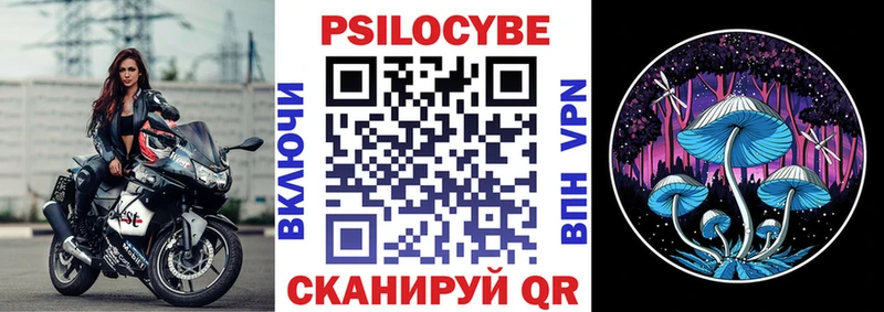 Псилоцибиновые грибы Psilocybe  blacksprut зеркало  Дедовск 